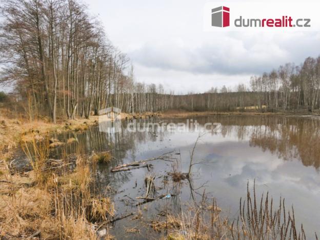 Prodej rybníku, Pomezí nad Ohří, 3974 m2