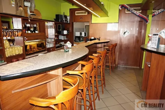 Prodej ubytování, Kroměříž, Stoličkova, 250 m2