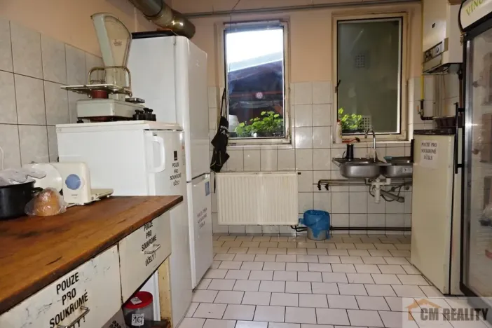 Prodej ubytování, Kroměříž, Stoličkova, 250 m2