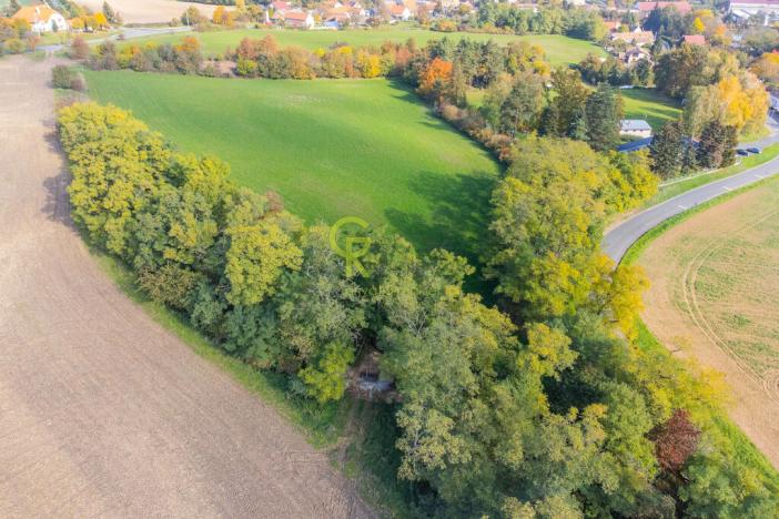 Prodej pozemku pro bydlení, Tismice, 10911 m2