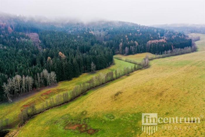 Prodej trvalého travního porostu, Čistá u Horek, 3931 m2