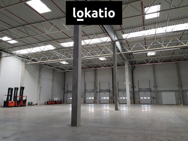 Pronájem skladu, Pavlov, Logistická, 2000 m2