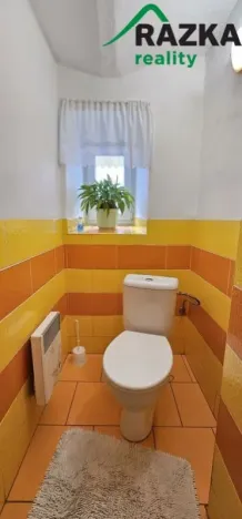 Prodej rodinného domu, Bor - Ostrov, Ostrov, 159 m2