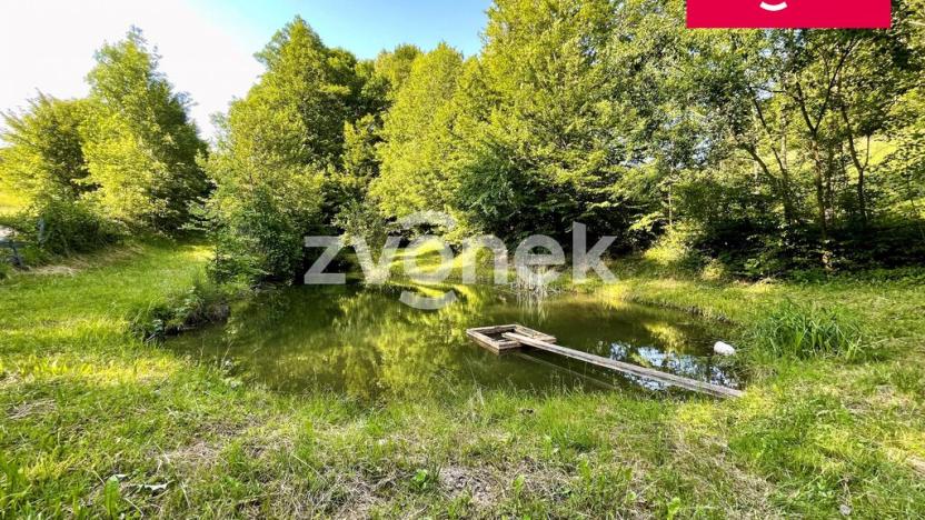 Prodej rybníku, Prlov, 7474 m2