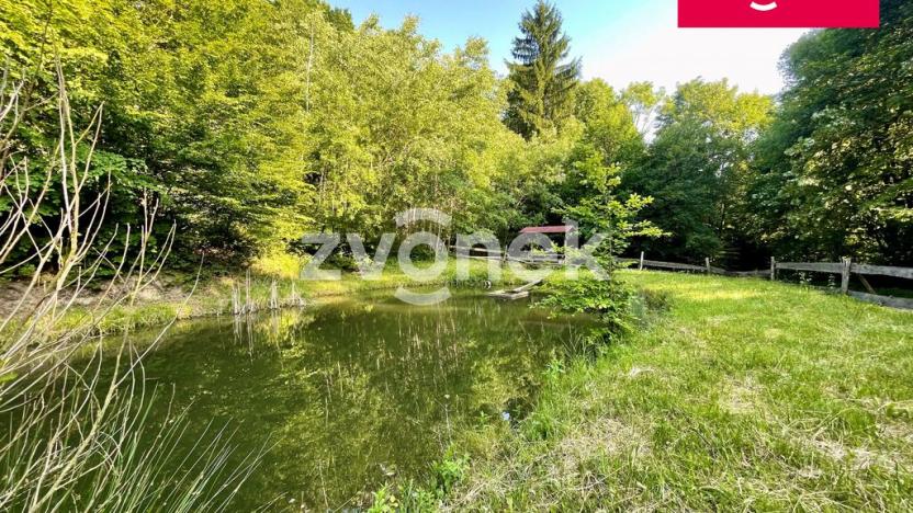 Prodej rybníku, Prlov, 7474 m2
