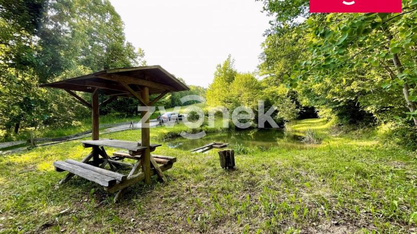 Prodej rybníku, Prlov, 7474 m2