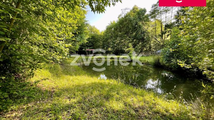 Prodej rybníku, Prlov, 7474 m2