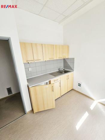 Pronájem obchodního prostoru, Havířov - Šumbark, Lidická, 165 m2