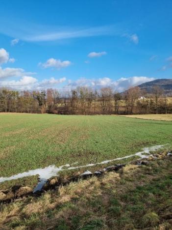 Pronájem zahrady, Štramberk, 800 m2