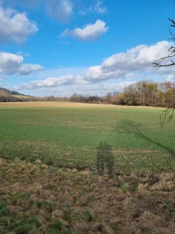 Pronájem zahrady, Štramberk, 800 m2