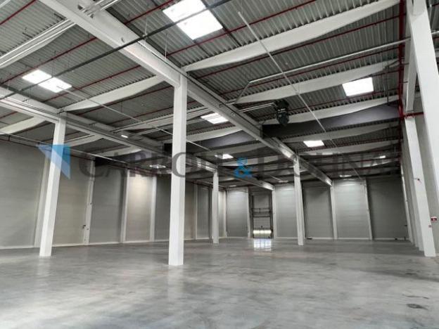 Pronájem skladu, Ostrava - Vítkovice, Halasova, 15470 m2