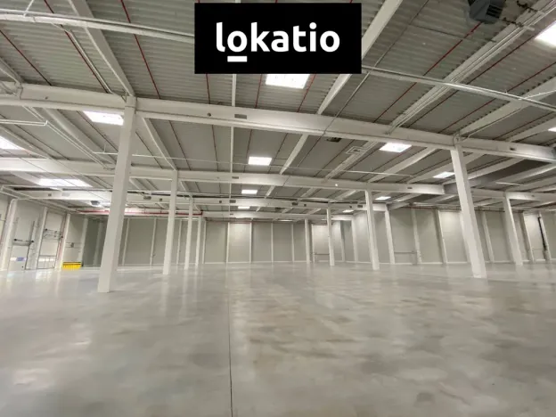 Pronájem skladu, Olomouc, Hněvotínská, 3700 m2