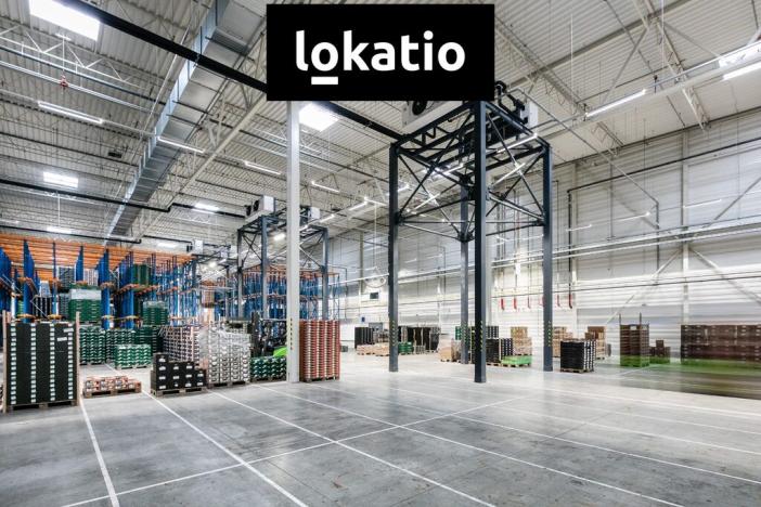 Pronájem skladu, Divišov, 14159 m2