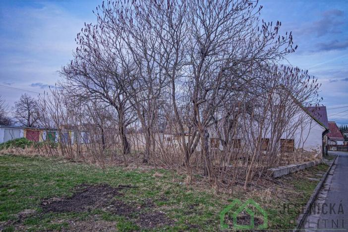 Prodej rodinného domu, Vidnava, Svobodova, 108 m2