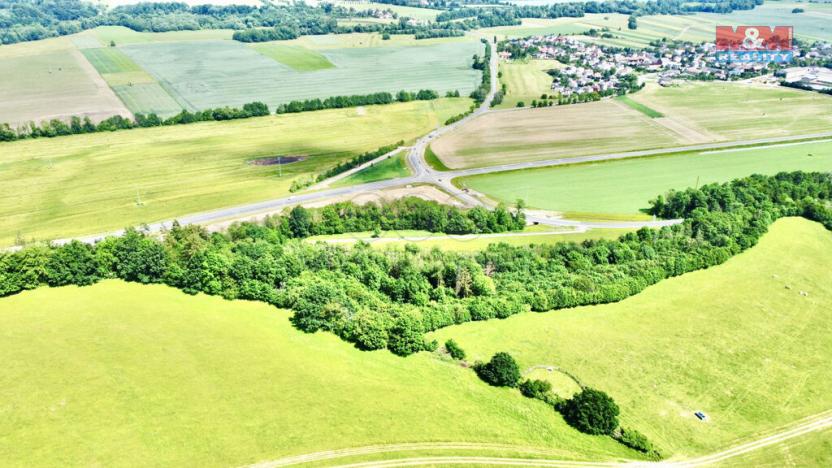 Prodej lesa, Vyšehoří, 12990 m2