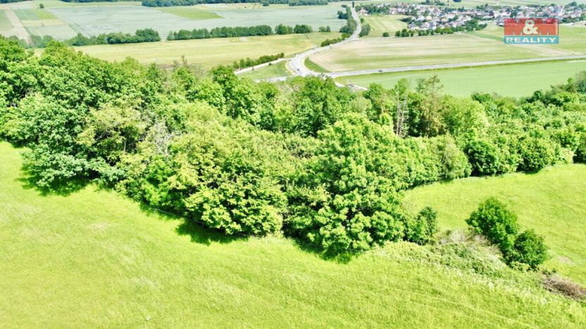 Prodej lesa, Vyšehoří, 12990 m2