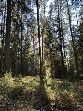 Prodej pozemku pro bydlení, Lipno nad Vltavou, 1074 m2