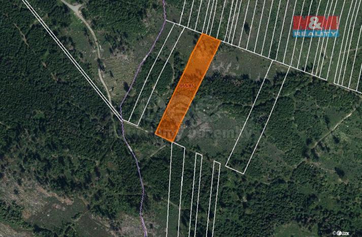 Prodej lesa, Nová Hradečná, 6092 m2