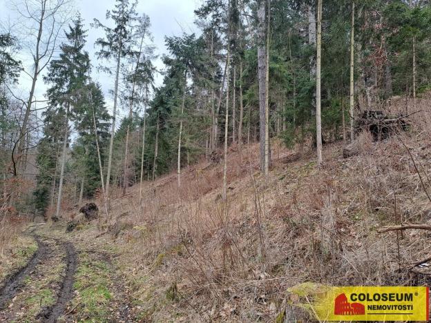 Prodej lesa, Letovice, 12020 m2