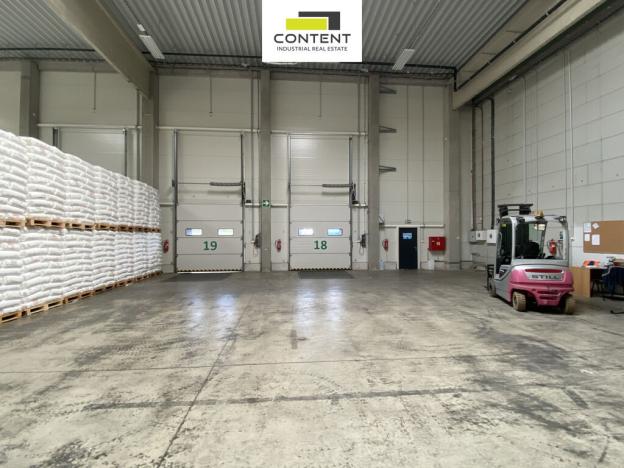 Pronájem skladu, Tuřany - Lipoltov, 3115 m2