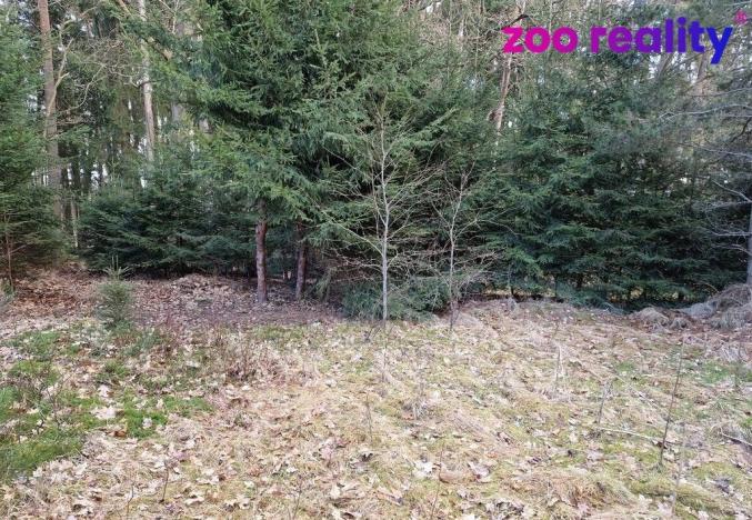 Prodej pozemku pro bydlení, Chlum u Třeboně, 665 m2