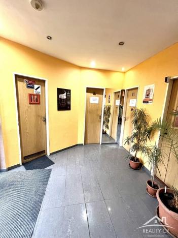 Prodej restaurace, Luka nad Jihlavou, Hřbitovní, 860 m2