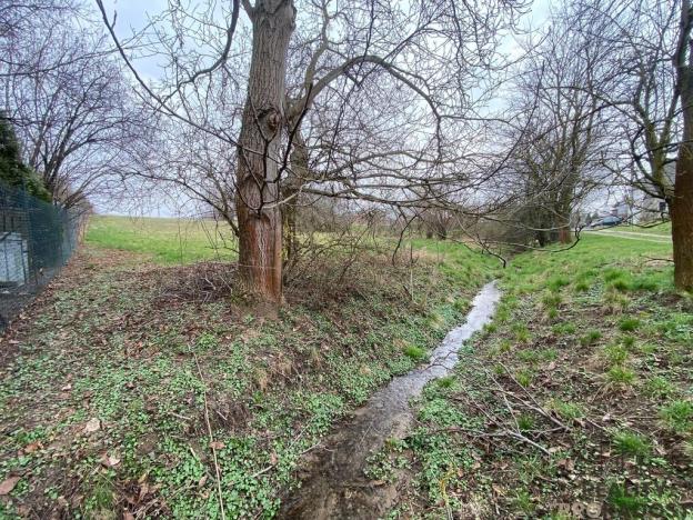 Prodej pozemku pro bydlení, Tršice, 2341 m2