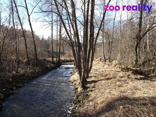 Prodej trvalého travního porostu, Kájov, 7754 m2