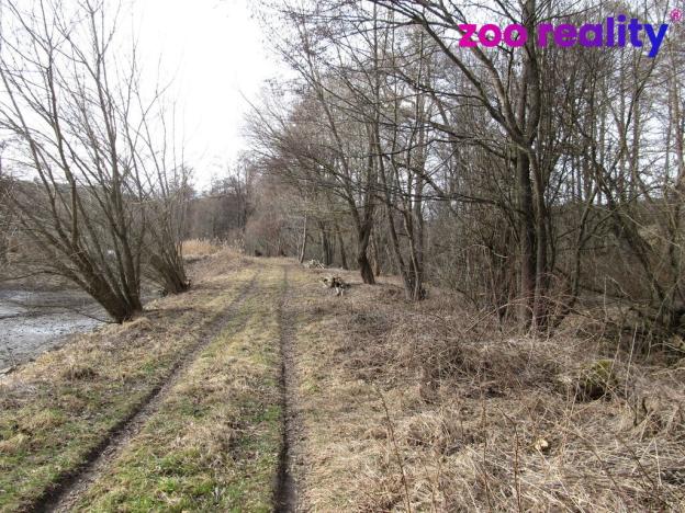 Prodej trvalého travního porostu, Kájov, 11151 m2