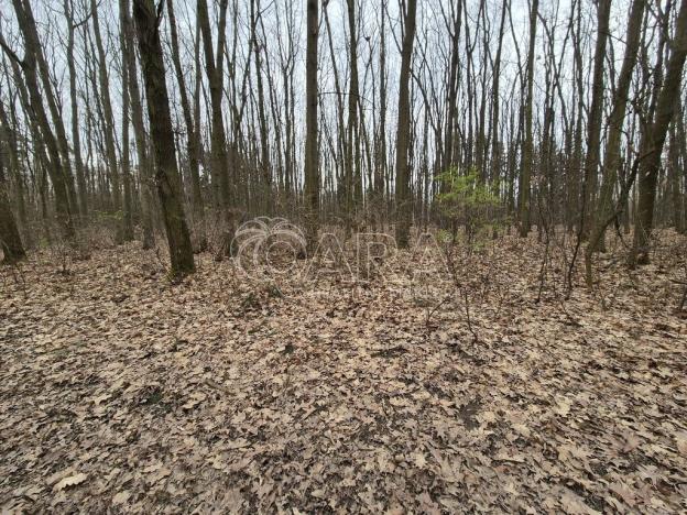 Pronájem pozemku, Praha - Háje, 2000 m2