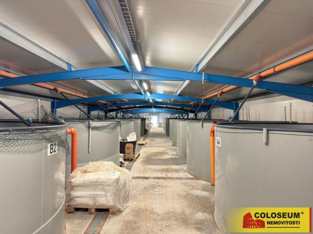 Prodej výrobních prostor, Nedvědice, 1382 m2