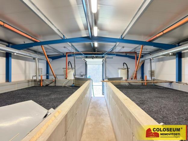 Prodej výrobních prostor, Nedvědice, 1382 m2