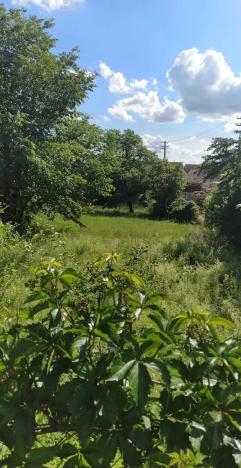 Prodej pozemku pro bydlení, Šanov, 659 m2