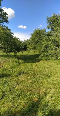 Prodej pozemku pro bydlení, Šanov, U dráhy, 659 m2