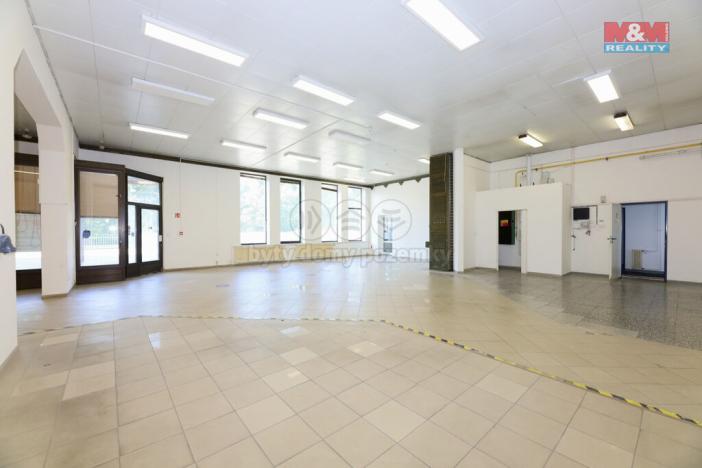 Pronájem obchodního prostoru, Staré Město, Brněnská, 607 m2