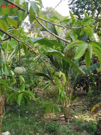 Prodej apartmánu, Tangalle,Srí Lanka, Šrí Lanka, 142 m2