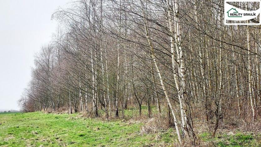 Prodej pozemku, Cheb - Cetnov, 11773 m2