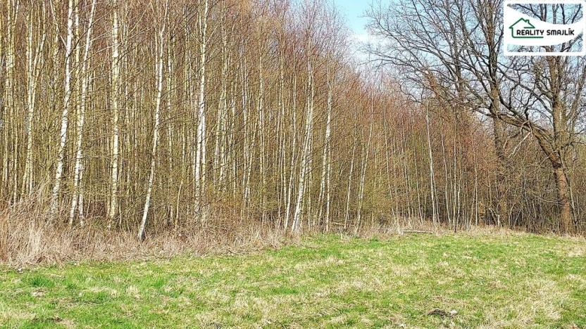 Prodej pozemku, Cheb - Cetnov, 11773 m2