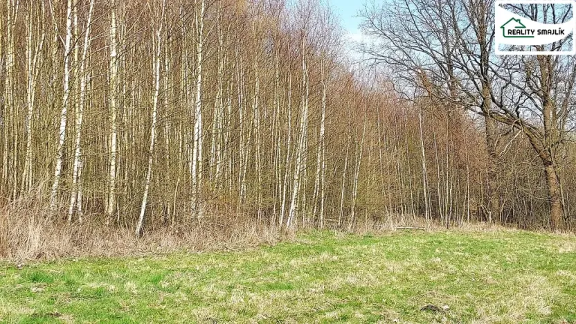 Prodej pozemku, Cheb - Cetnov, 11773 m2