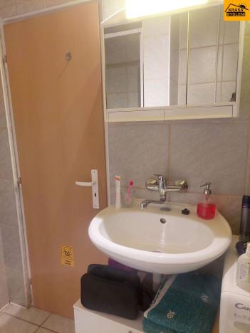 Prodej bytu 1+kk, Brno - Dolní Heršpice, 29 m2