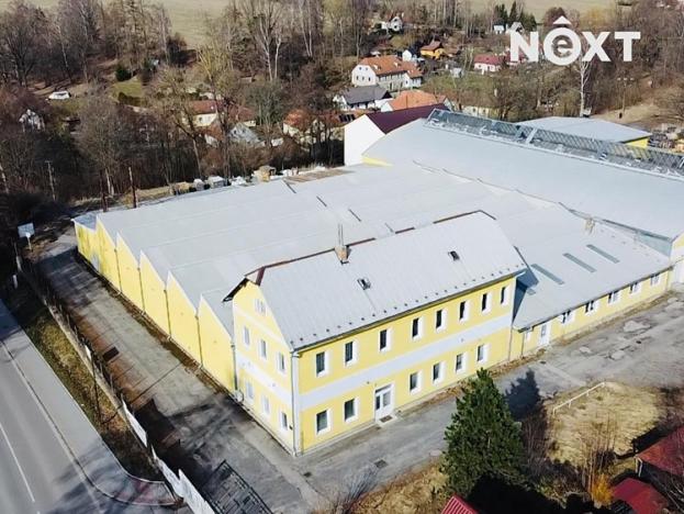 Prodej výrobních prostor, Nová Bystřice, Hradecká, 18292 m2