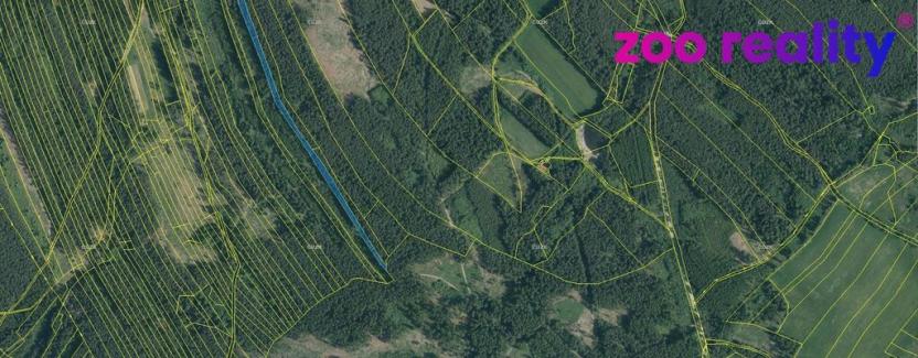 Prodej lesa, Deštná, 4056 m2