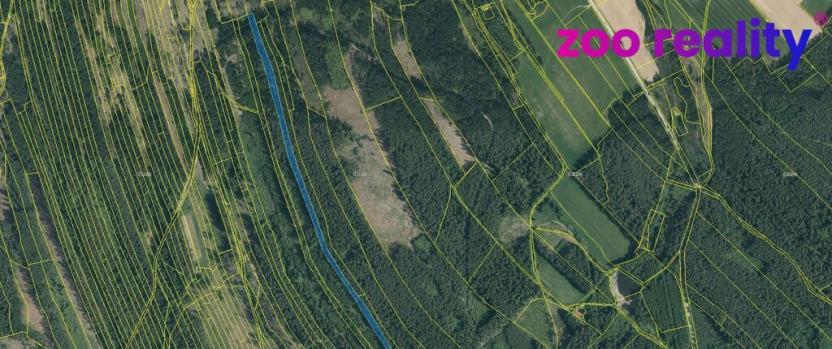 Prodej lesa, Deštná, 4056 m2