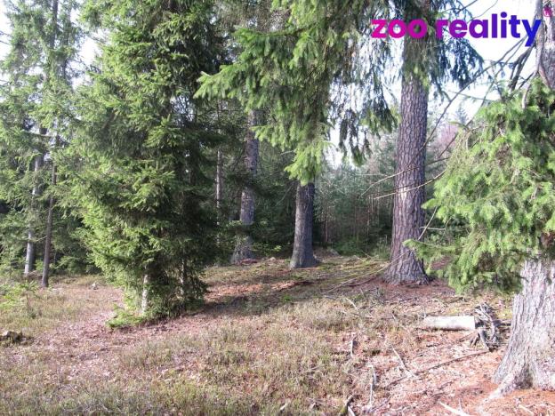 Prodej lesa, Deštná, 4056 m2