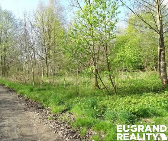 Prodej pozemku, Varnsdorf, 800 m2