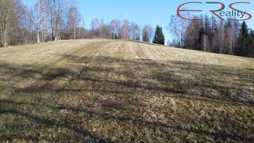 Prodej trvalého travního porostu, Janov nad Nisou - Hraničná, 2521 m2