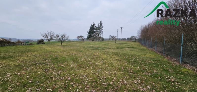 Prodej pozemku pro bydlení, Bor - Čečkovice, 1824 m2