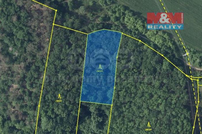 Prodej lesa, Bílina, 7458 m2