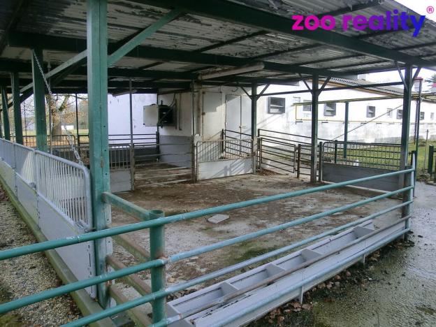 Prodej zemědělského objektu, Majdalena, 2000 m2