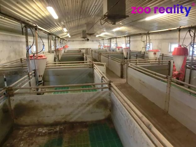 Prodej zemědělského objektu, Majdalena, 2000 m2